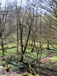 20170326Habsterwiesen1