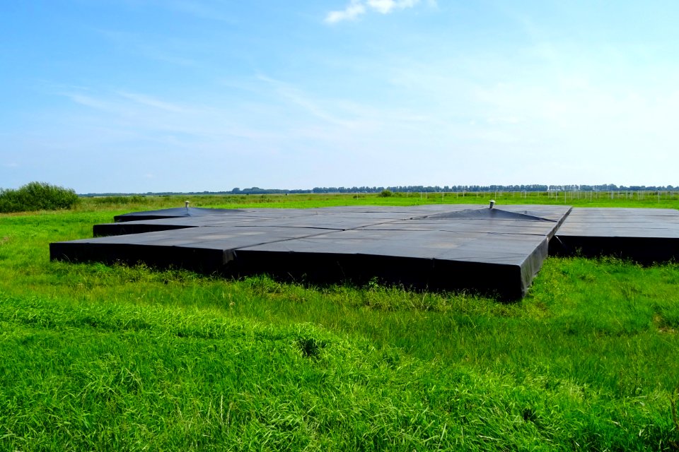 20170706_Lofar_tussen_Buinen_en_Exloo_(detail1)