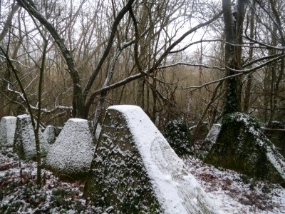 20170103Hoeckerlinie_Saarbruecken3