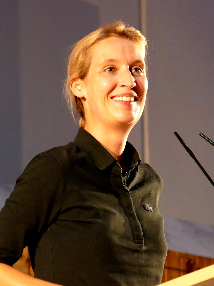 2017.07.22.200910_Alice_Weidel_AfD-Informationsveranstaltung_Schriesheim