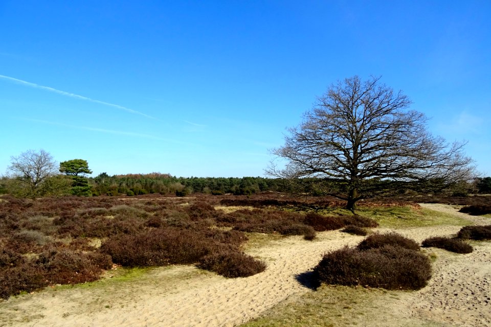 20170322_Drouwenerzand