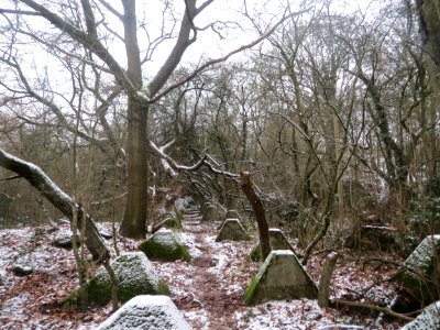 20170103Hoeckerlinie_Saarbruecken4