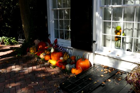 2017.10.27.121724_Halloween_decoration_Prince_Street_Alexandria_Virginia_USA