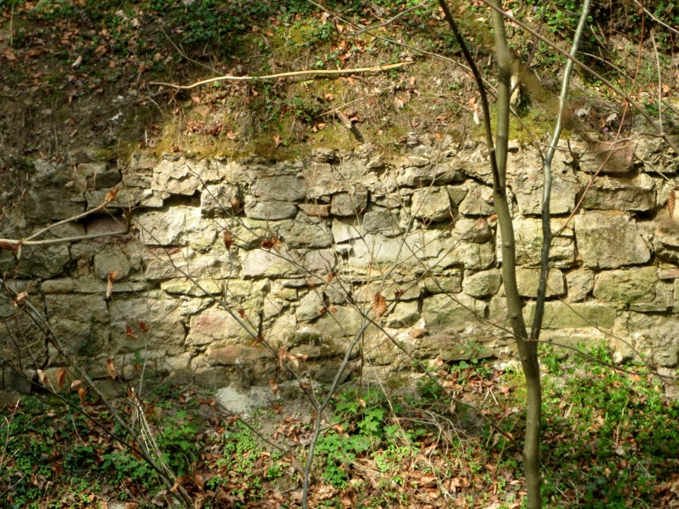 20170407Forsthaus_Schwetzinger_Hardt2