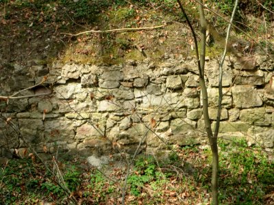 20170407Forsthaus_Schwetzinger_Hardt2