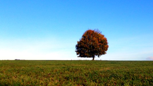 2017-10-24_Rammenau_am_Tanneberg