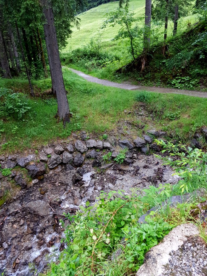 2017-06-23-mindelheimer-klettersteig-52