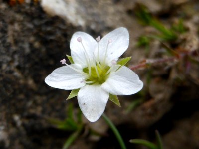 2017-06-23-mindelheimer-klettersteig-42