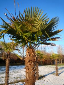 20170116Palme_Hockenheim2