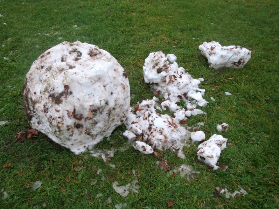 20170111Schneemann_Hockenheim05