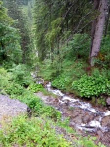 2017-06-23-mindelheimer-klettersteig-51 photo