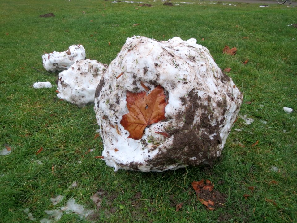 20170111Schneemann_Hockenheim08