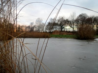 20170104Hockenheim1