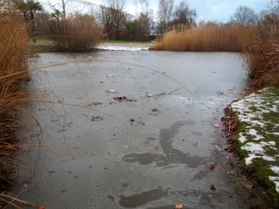 20170104Hockenheim2
