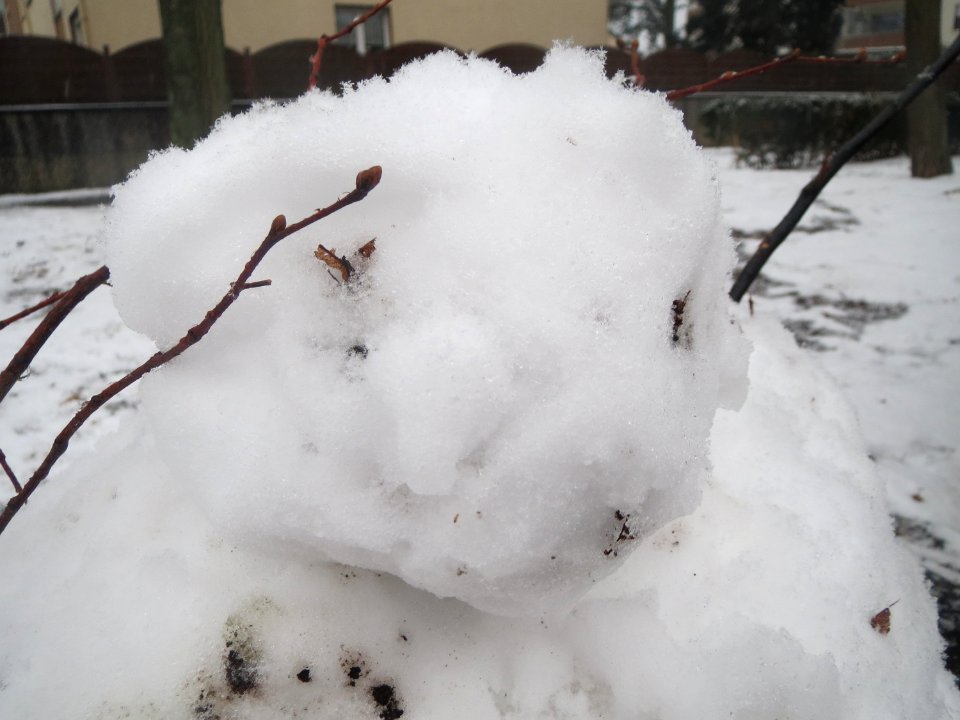20170110Schneemann_Hockenheim1