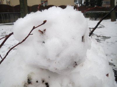20170110Schneemann_Hockenheim1