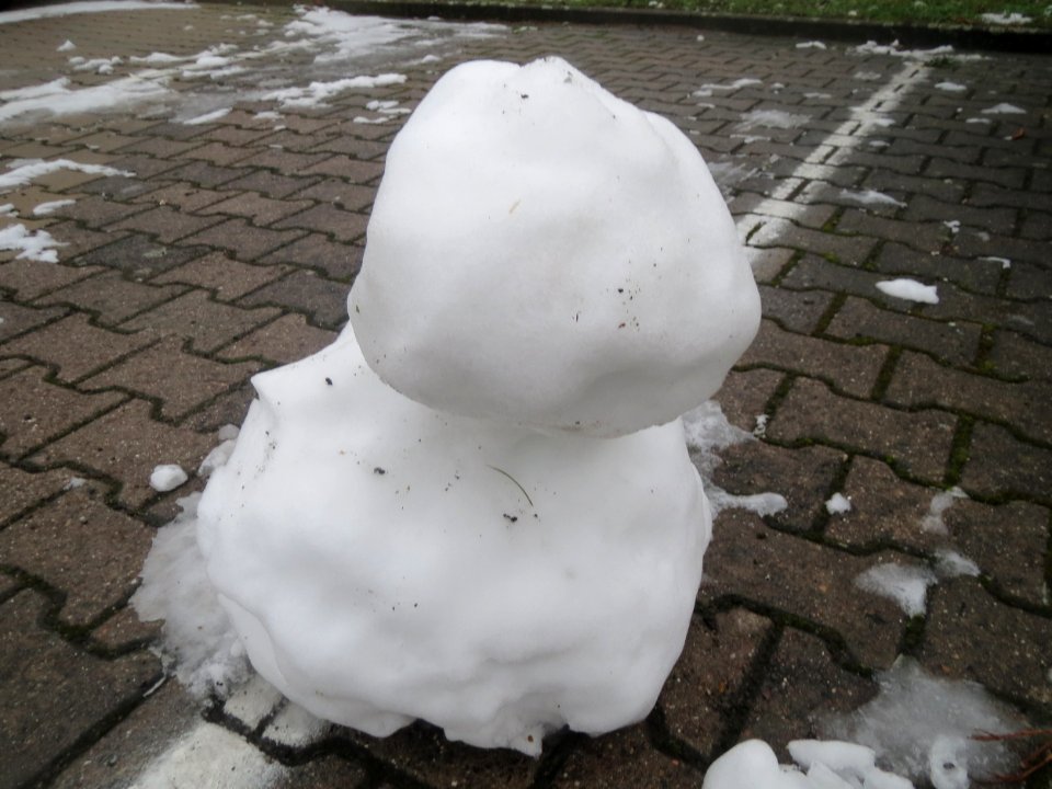 20170111Schneemann_Hockenheim03