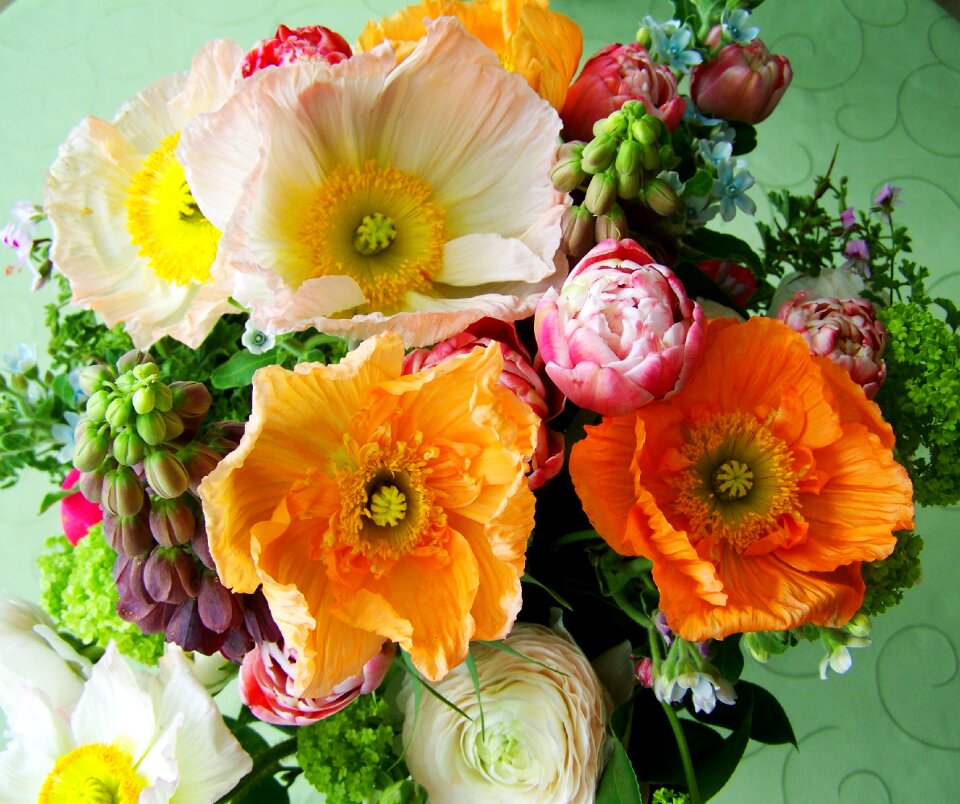 Flower bouquet color cut flowers