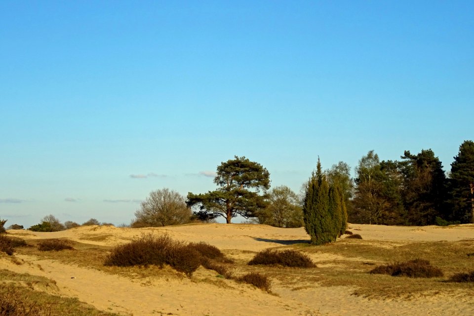 20170418_Drouwenerzand