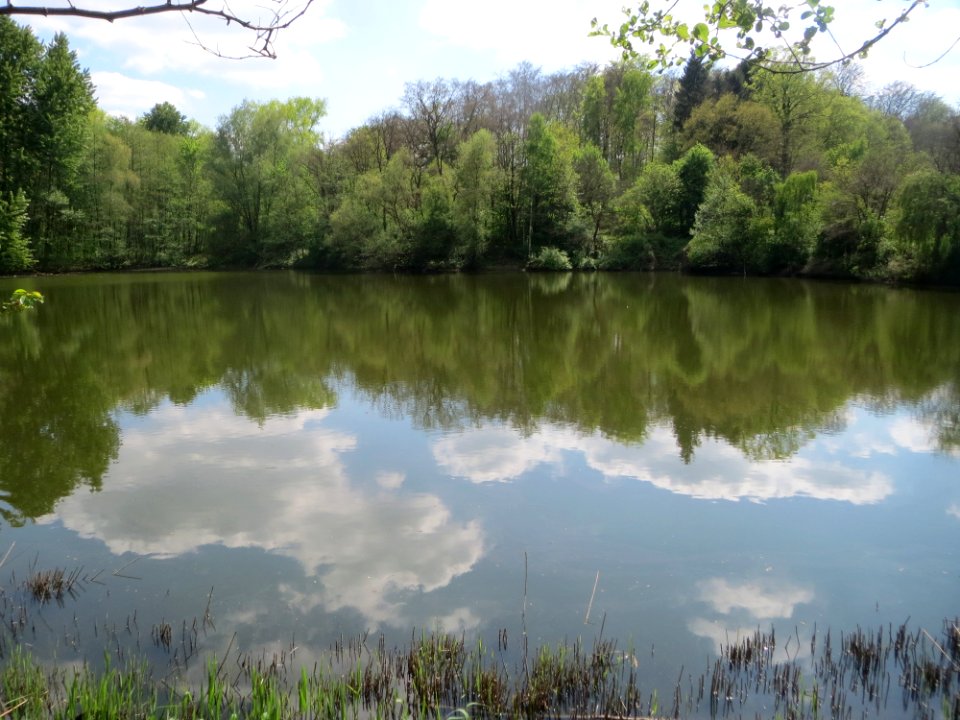 20170509Drahtzugweiher2