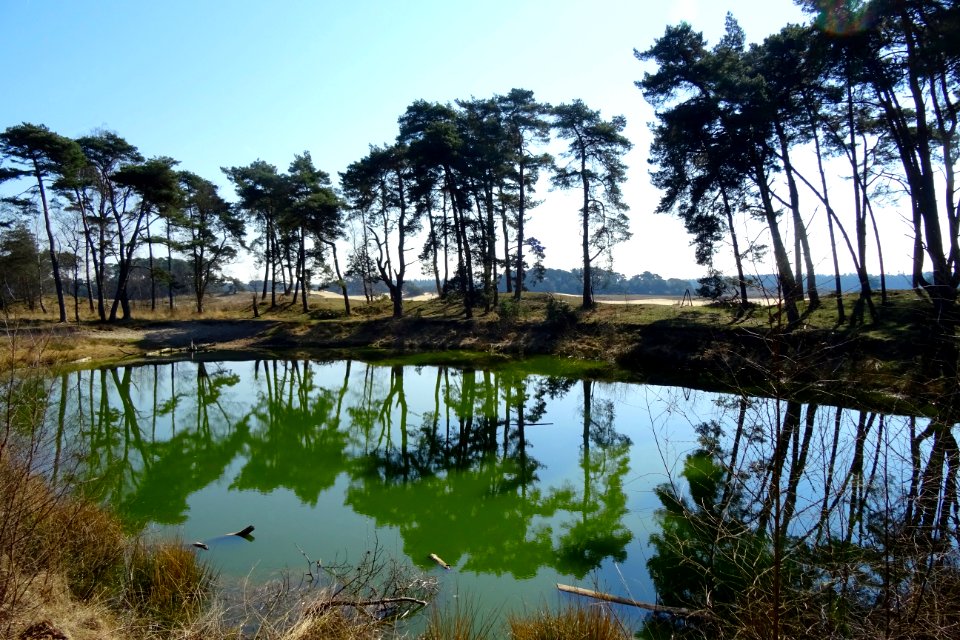 20170328_Ven2_Wekeromse_Zand