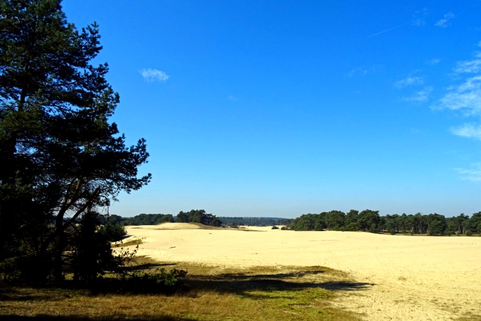 20170328_Wekeromse_Zand