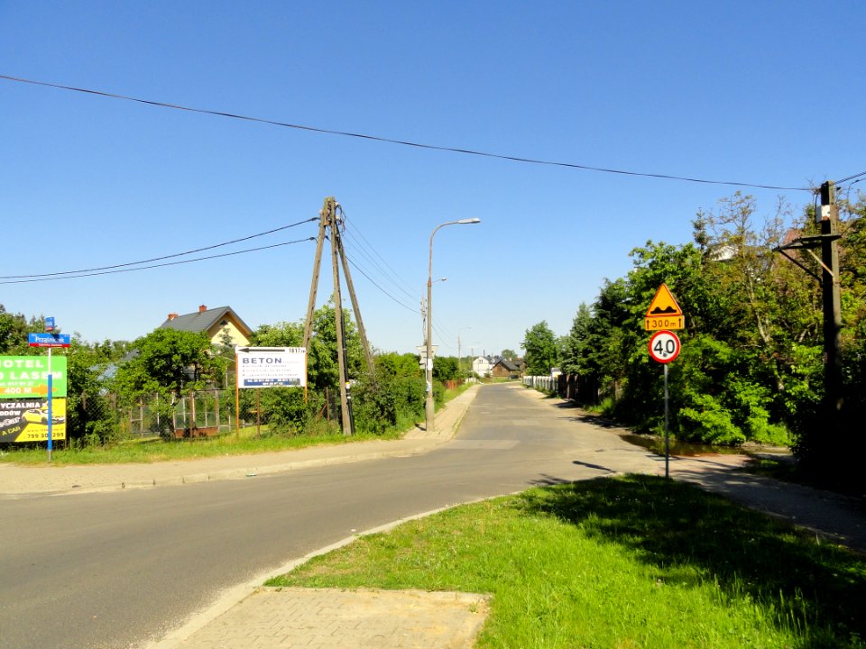 2017_Warszawa_Prząśniczek