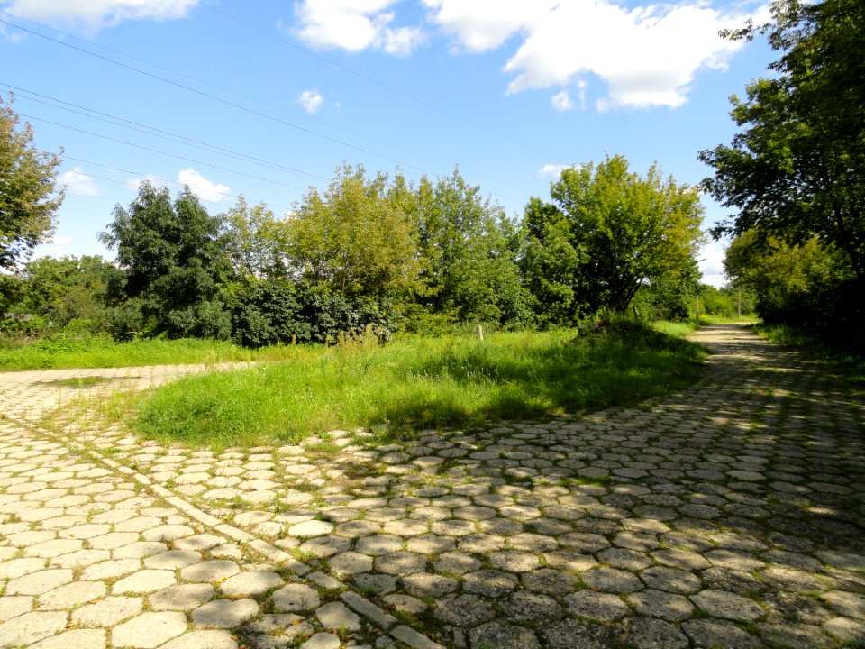 2017_Warszawa_Kozia_Górka-Wiatraczna
