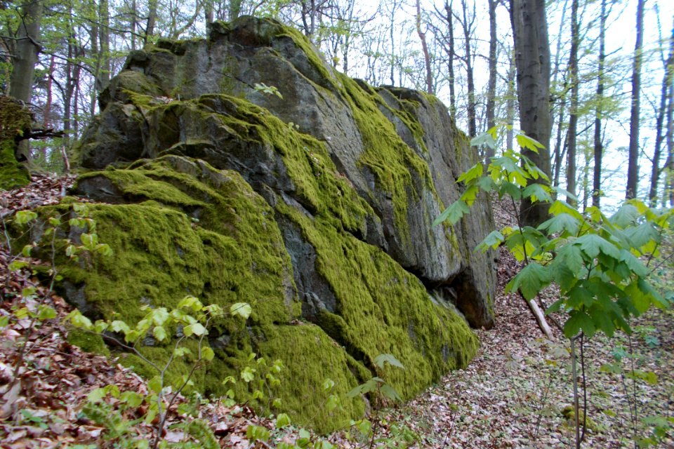 2017_Somsdorf_Felskuppe_am_Wanderweg_zur_Klamm