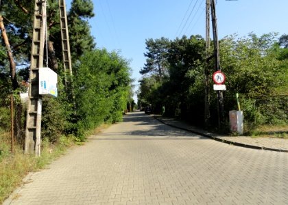 2017_Warszawa_Pajęcza,_1