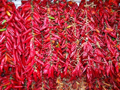 Food paprika piquant