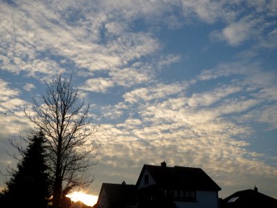 20170315Hockenheim