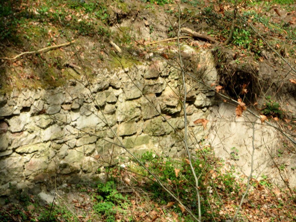 20170407Forsthaus_Schwetzinger_Hardt1