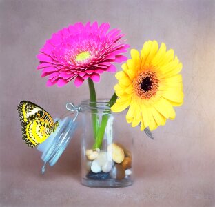 Yellow glass vase photo