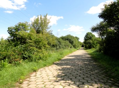 2017_Warszawa_ulica_Kozia_Górka