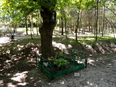 2017_Warszawa_kapliczka_nadrzewna_w_parku_Strumykowa