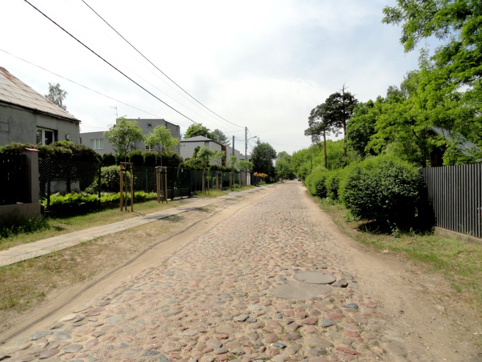 2017_Warszawa_Dankowicka