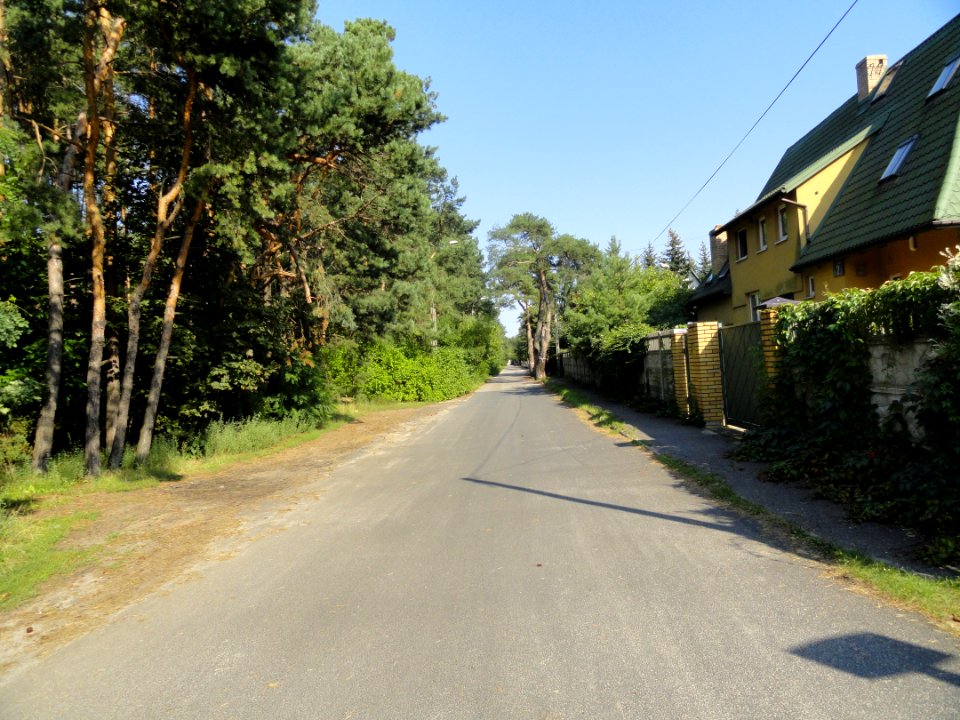 2017_Warszawa_Arniki