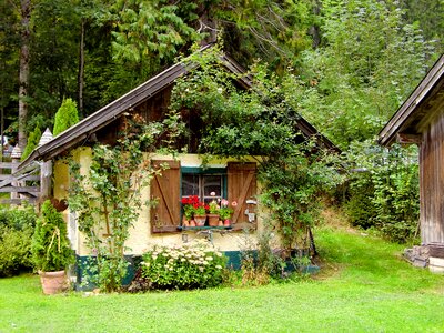 Mysterious cottage forest lodge