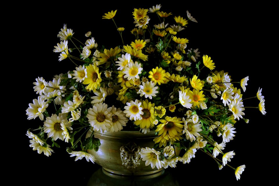 Margaret nature summer