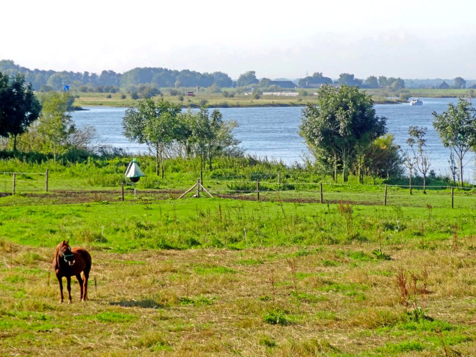 20150909_IJssel_nabij_Veecaten