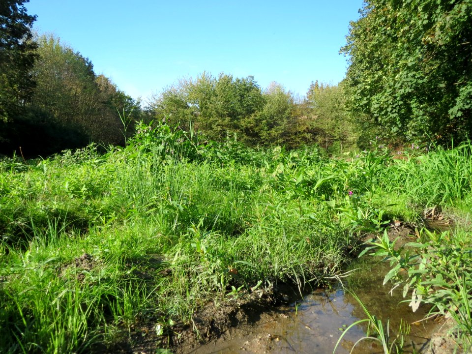 20150921Hochwasserrueckhaltebecken_Reilingen3