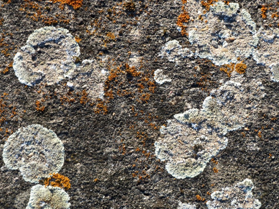 20150921Hochwasserrueckhaltebecken_Reilingen7
