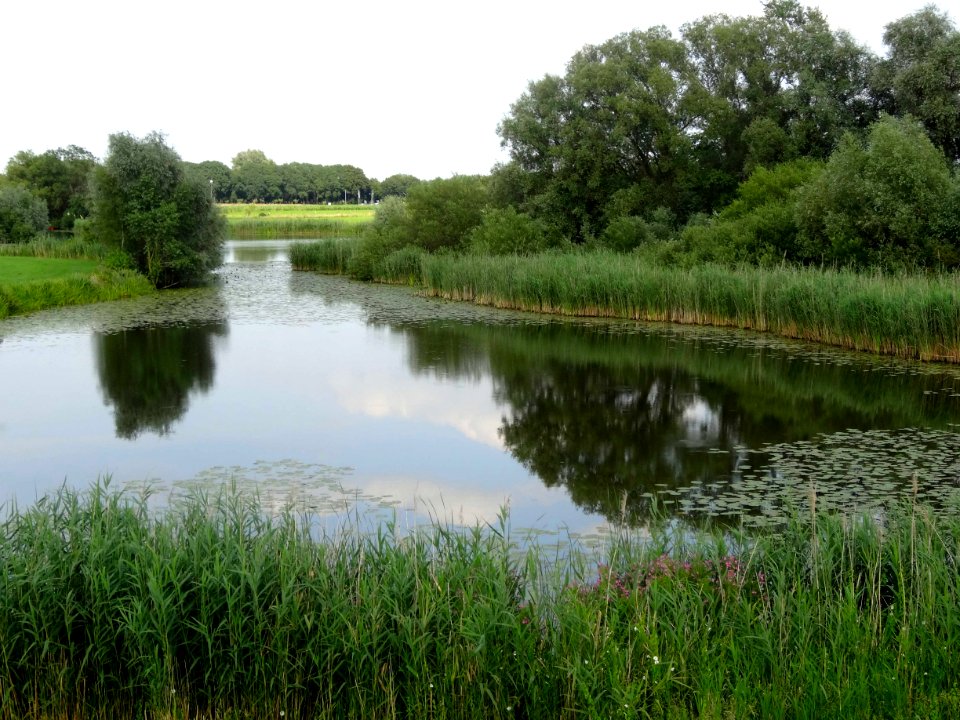 20150716_Lange_Kolk_nabij_Den_Nul