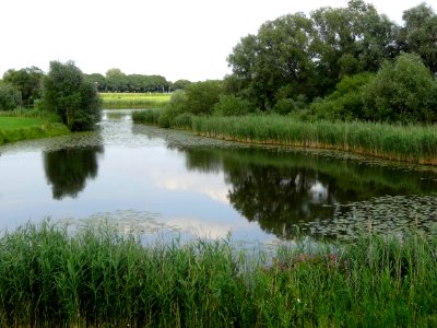 20150716_Lange_Kolk_nabij_Den_Nul