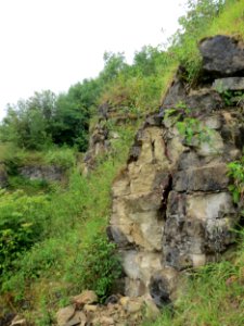 20150621Birzberg2
