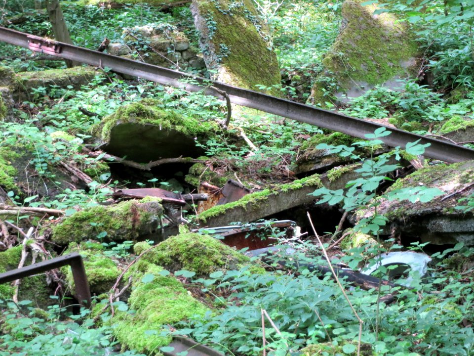 20150621Meerwald2