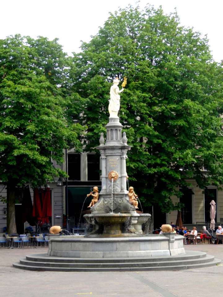 20150617_Wilhelminafontein2_Deventer