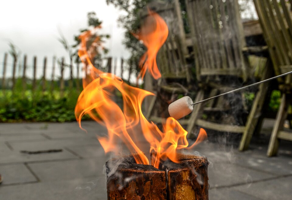 Campfire food fun