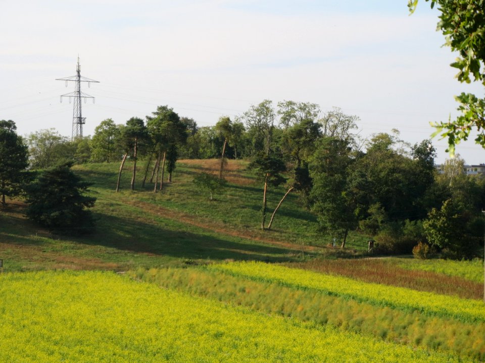 20151003Friedenshoehe